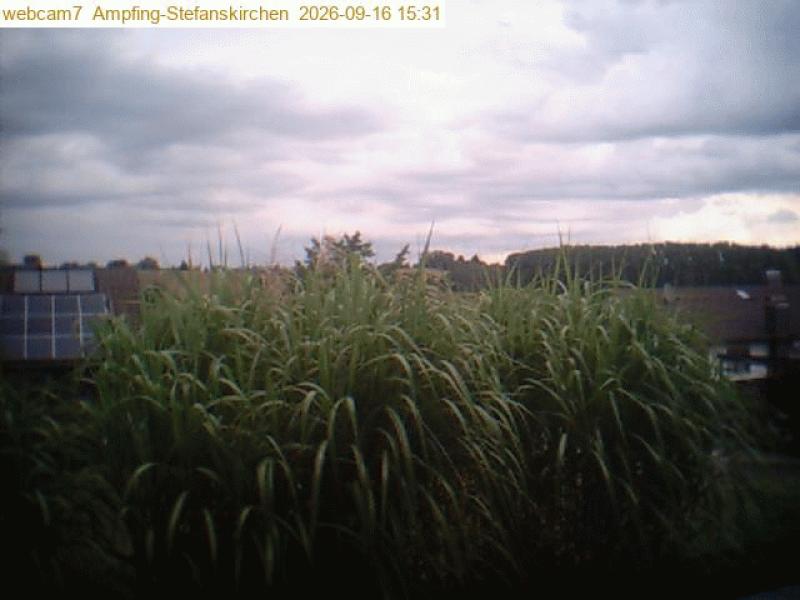 xxFoto von 2026-09-16_153112