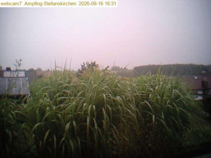 xxFoto von 2026-09-16_163110