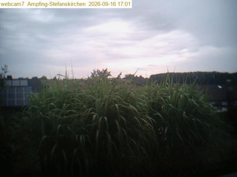 xxFoto von 2026-09-16_170110