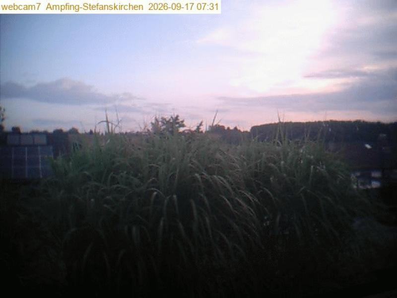 xxFoto von 2026-09-17_073110