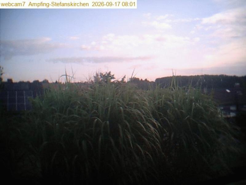 xxFoto von 2026-09-17_080111