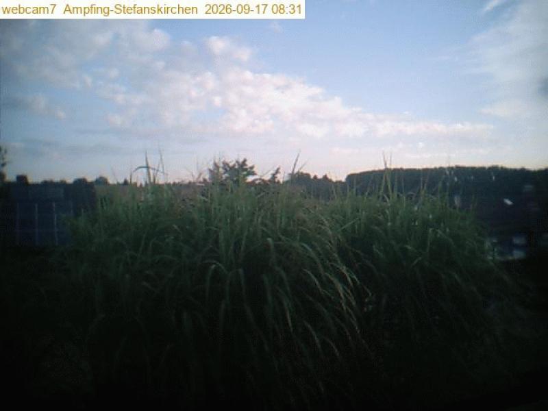 xxFoto von 2026-09-17_083109