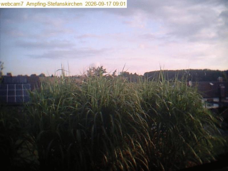 xxFoto von 2026-09-17_090110