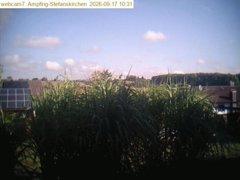 xxFoto von 2026-09-17_103112