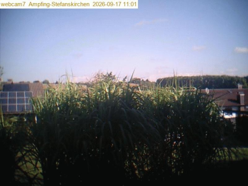 xxFoto von 2026-09-17_110111